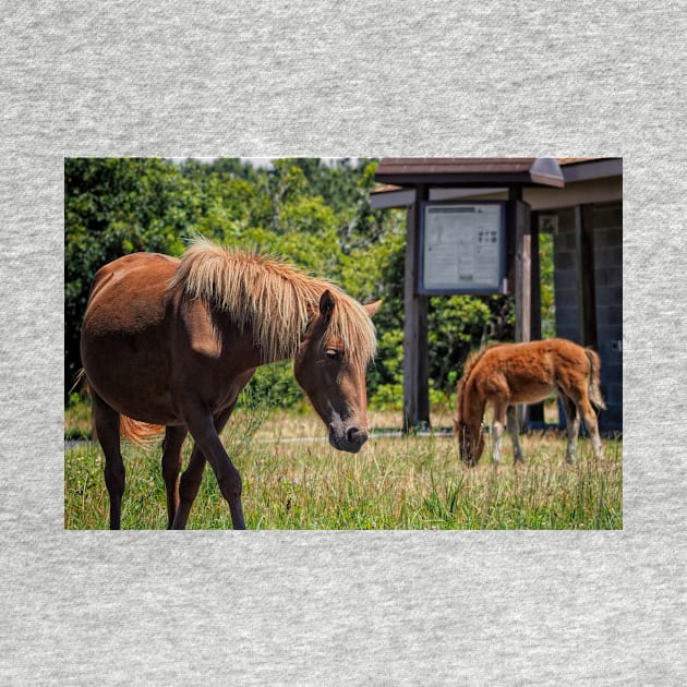 Assateague Pony Moonshadow with Foal Moonbeam by Swartwout